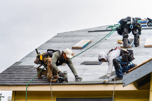 Professional Emergency Roof Repair technician working in Knowlesville, NY